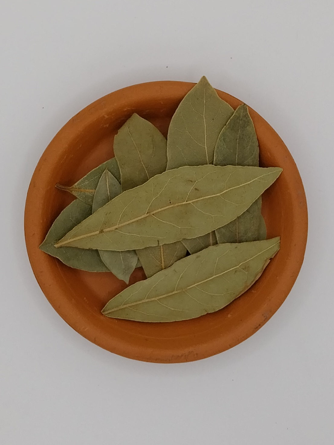 Lorbeerblätter zur besseren Ansicht in einer Tonschale